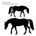 A set of silhouettes of horses, on a white background Royalty Free Stock Photo